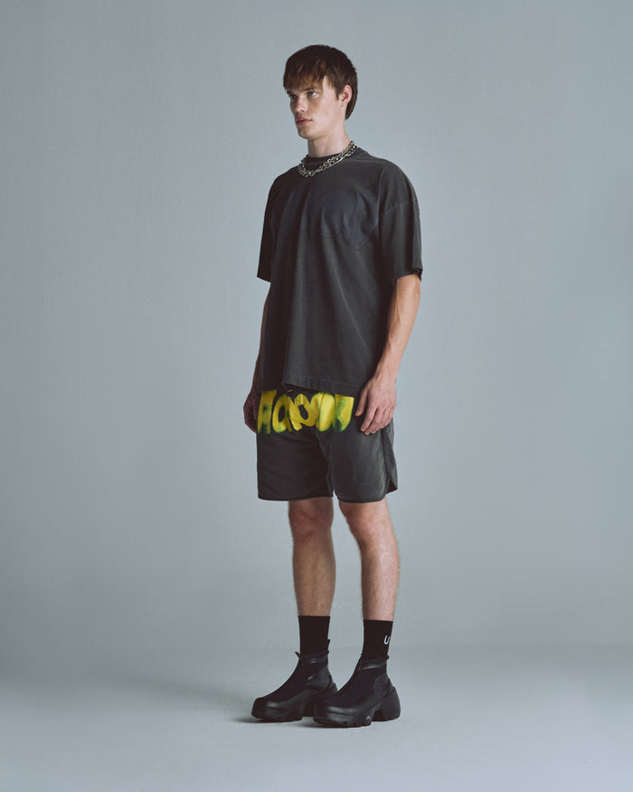 Echoes Echo Tshirt Old Washed Gray