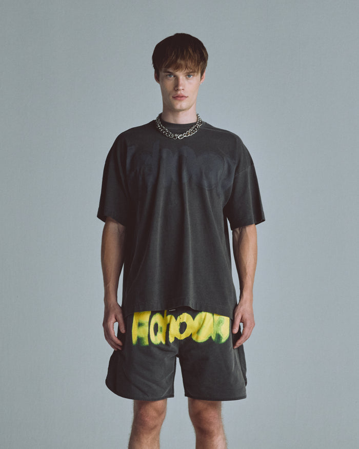 Echoes Echo Tshirt Old Washed Gray