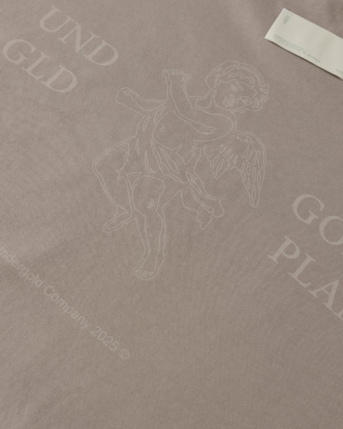 Echoes God's Plan Tshirt Light Brown