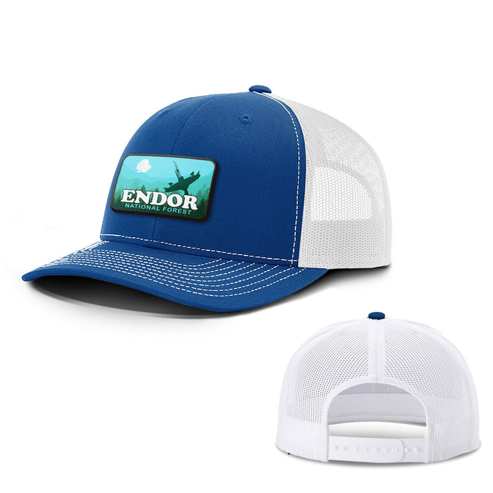 Snapback Trucker / Royal Blue and White / One Size