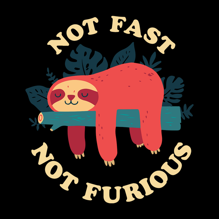 Funny Sloth Not Fast Not Furious Long Sleeve