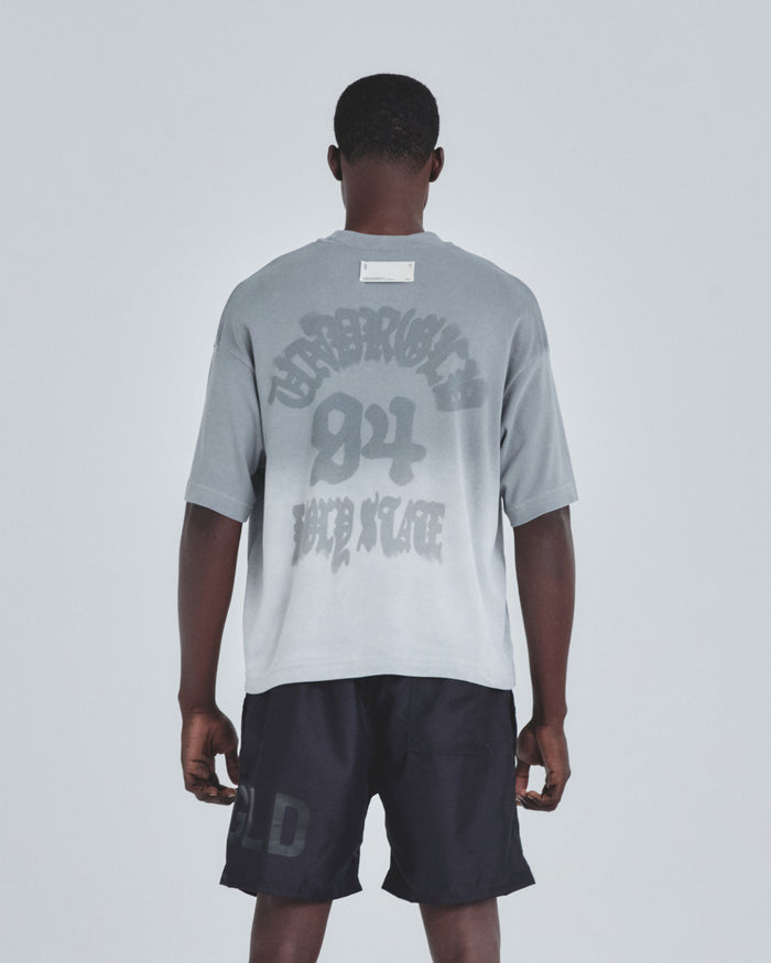 Holy State Beautiful Soul Boxy Fit Tshirt Faded Gray