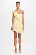 ACLER ONLINE AU MERRIDALE MINI DRESS