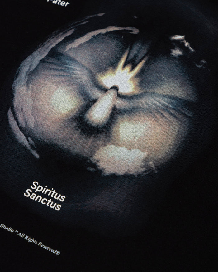 Spring Spiritus Sanctus Tshirt Black