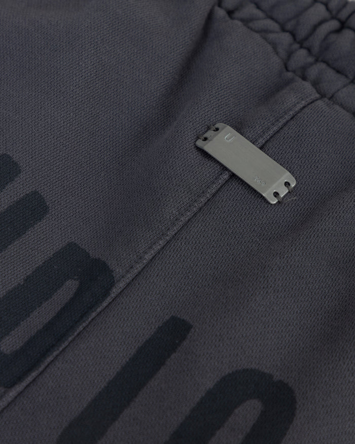 Spring Worn Logo Straight Pants Sandblast Gray