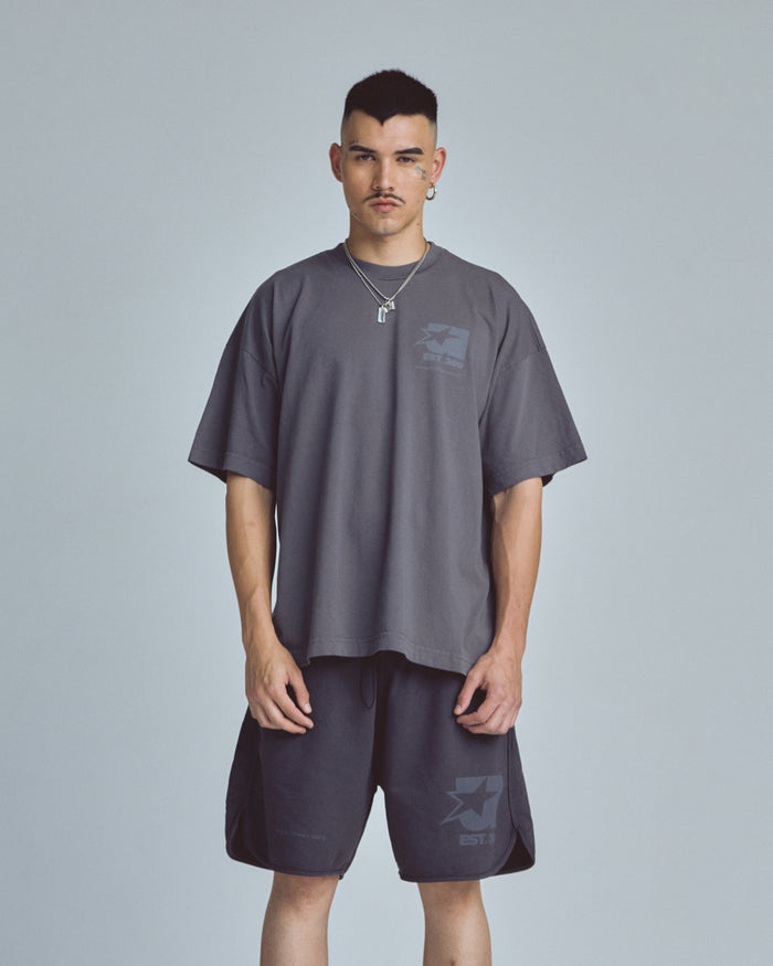 Stardust Symbol Tshirt Gray