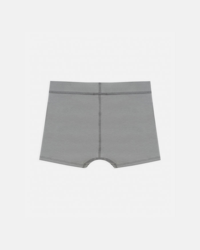 W Basics Boxers Gray